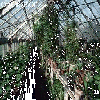 To The Gardens
